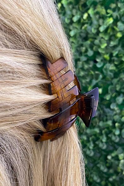 Saint Charmes Brown Color Latch Buckle