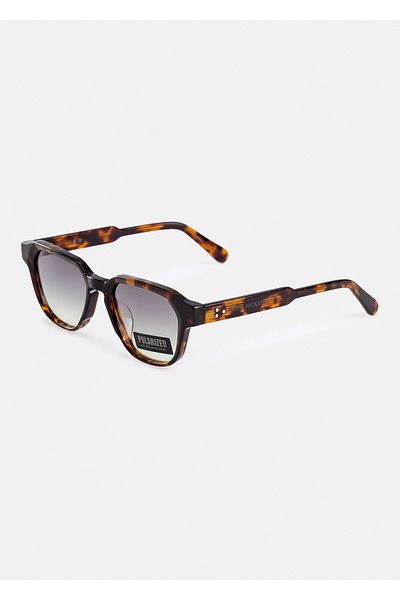 Boris Becker Brown Color Cohen Men's Sunglasses
