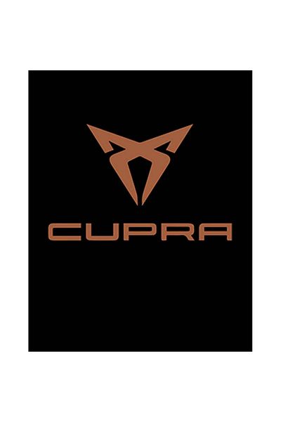 Z zepplin Cupra Logo Color Patch mare pe spate