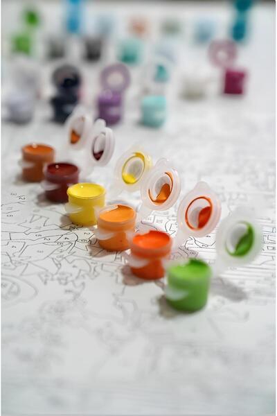 Sulepas Sayılarla Boyama Çerçeveli Hobi Seti Numaralı Tuval Fırça Boya Dahil Kasnaklı KIŞ VE KEDİ 40X50 Cm