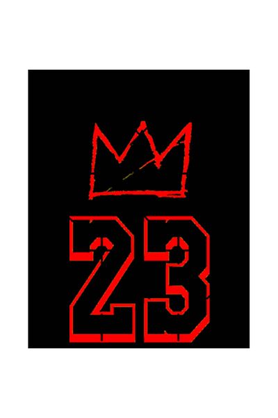 Z zepplin Lebron James King 23 Patch mare pe spate