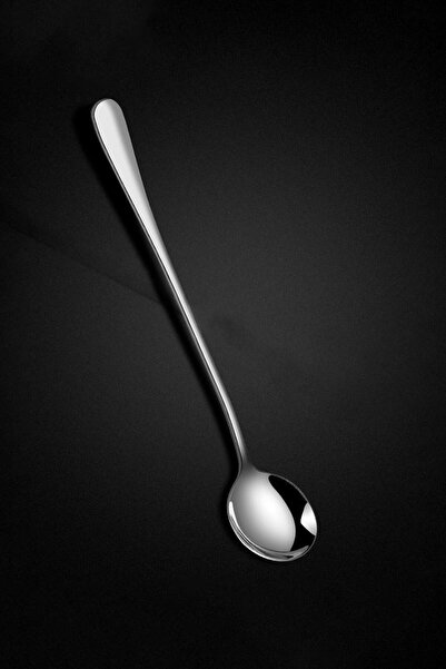 Chavin 1010 Steel 12 Pieces 18cm Long Dessert Latte and Ice Cream Spoon Cin510-12