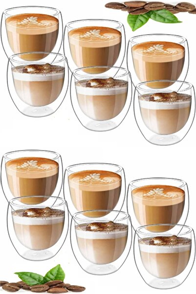 Berdina Home مجموعة من 12 كوبًا مزدوج الجدار سعة 250 مل، كوب شاي للمكتب المنز...