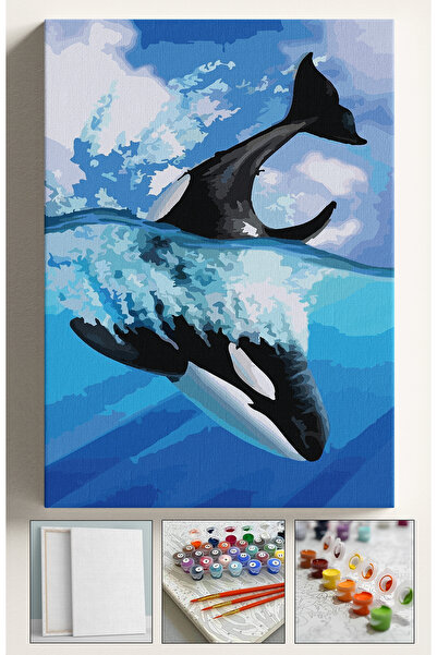 Sulepas Sayılarla Boyama Çerçeveli Hobi Seti Numaralı Tuval Fırça Boya Dahil ...