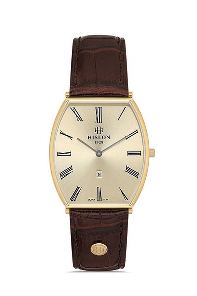 Hislon Cl179G-08Kg Men's Watch