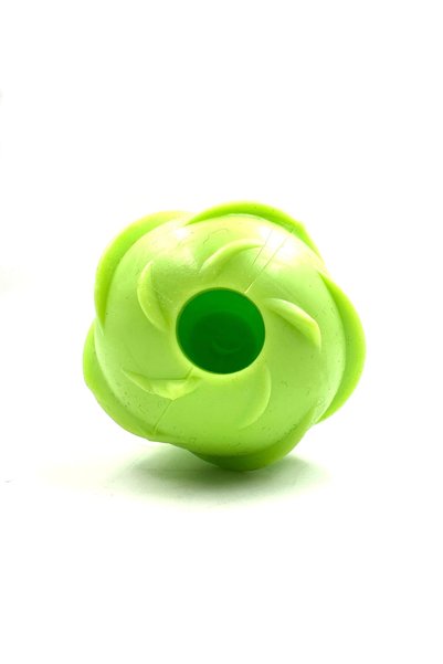 Tasma Market Oval Bone Model Dog Toy with Sound
