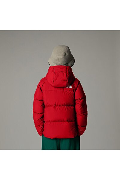 THE NORTH FACE B North Down Hooded Jacket Çocuk Mont Nf0a88tx6821