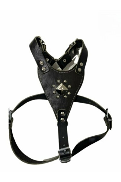 clearpaws GLADYATÖR TASMA BÜYÜK YILDIZ DESENLİ GÖĞÜSLÜK TASMA %100 DERİ (TEK ...