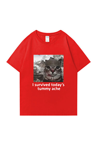 Drippy Muški Pamuk paket T-shirt - Smešno mačka, Preživeo sam bol u stomaku p...