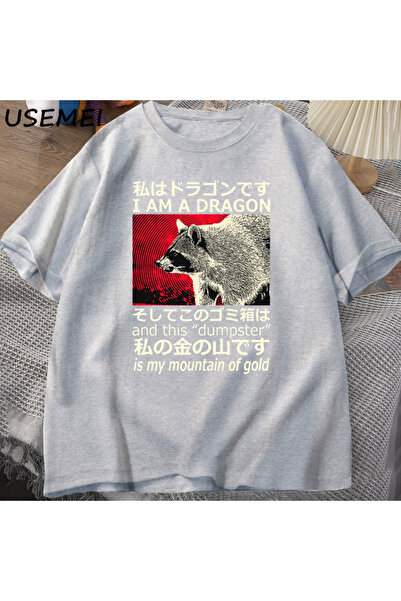 Drippy Majica Dragon Raccoon Japanski stil Pamuk kratkih rukava Retro Harajuk...