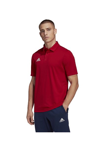 adidas Men's Training T-shirt Suitable for Daily Use and Sports Comfortable Plain T-Shirt