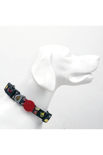 Tailpetz Rainbow Neck Collar