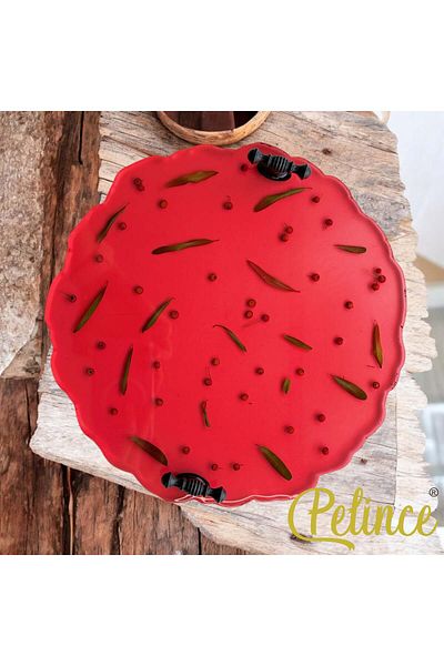 Home Epoxy Resin Flower Tray - Fire Spur - Diameter: 25 cm