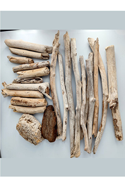 Makri Driftwood Deniz Sahil Odunu Lodos Tahtası Tip 3