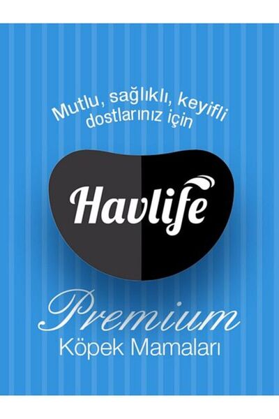 HAVLIFE Somonlu Ve Pirinçli Orta Ve Büyük Irk Yetişkin Köpek Maması 3 Kg