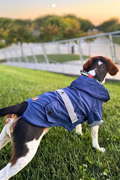salya store Navy Blue Dog Raincoat, Reflective Waterproof Raincoat, Dog Apparel Dog Raincoat