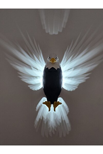 MYK AYDINLATMA Myk-dak-5v Dokunmatik Kartal Aplik