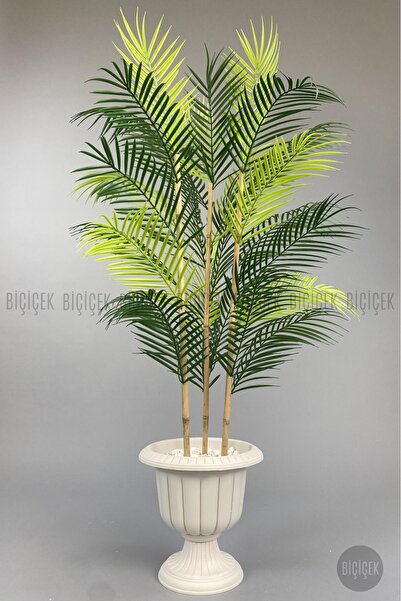 BİÇİÇEK 125cm Areka Ağacı 24 yapraklı Nergiz Saksıda