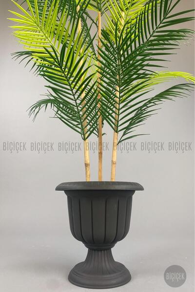 BİÇİÇEK 125cm Areka Ağacı 24 yapraklı Nergiz Saksıda