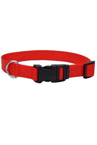 westminster طوق كلب أحمر PE3/4x20