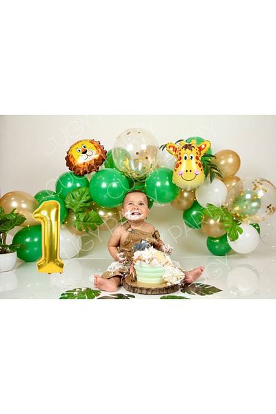 CUGY 1 Year Old Green Gold Giraffe Lion Themed Birthday Party Set with Age Options