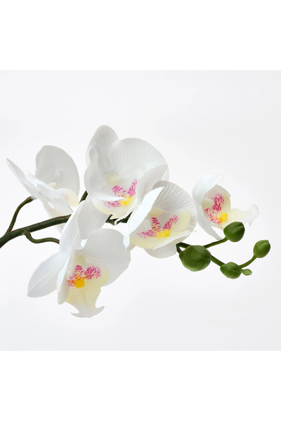 IKEA FEJKA beyaz 9 cm yapay bitki