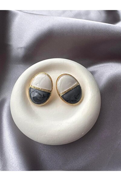 stainless steell 2 Color Stone Earrings with Gold Detail