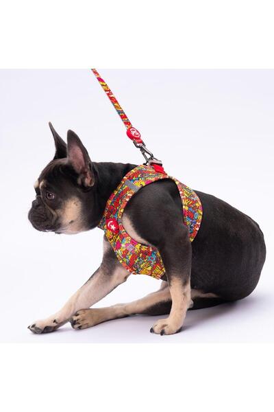 Pawstar Wow Leash & Air-Mesh Kedi Köpek Tasma ve Gezdirme Kayışı Seti Tasma Seti