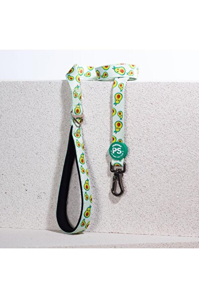 Pawstar Avocado Leash & Air-Mesh Kedi Köpek Tasma ve Gezdirme Kayışı Seti Tasma Seti