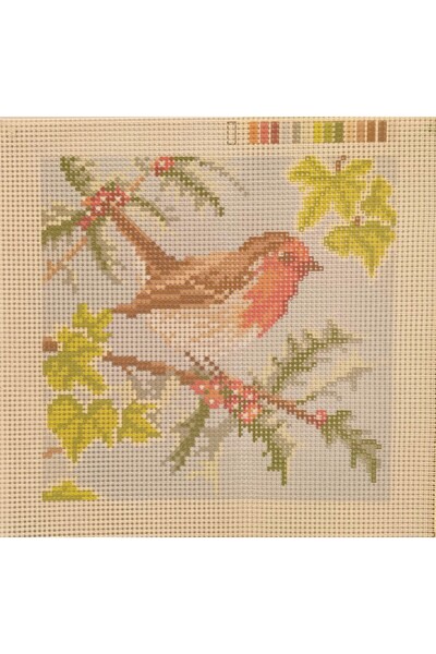 CanansCraft 40x40cm Kuş Desenli Kanaviçe Şablonu (İp Dahil Değildir)