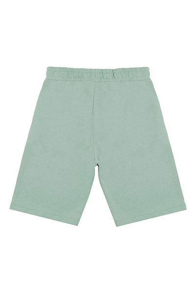 Chandraswear Boy's Green Aspen Shorts and T-Shirt Set