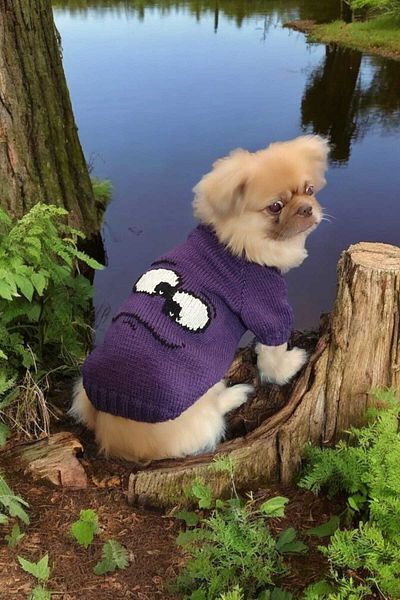 Urz Kids Purple Dog Sweater Patterned Dog Sweater