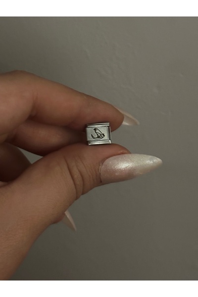 MOD10 سحر الطيور على القمر الفولاذي