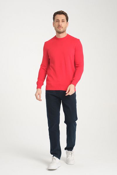 Rodi Men's Crew Neck Sweater - Model 1001