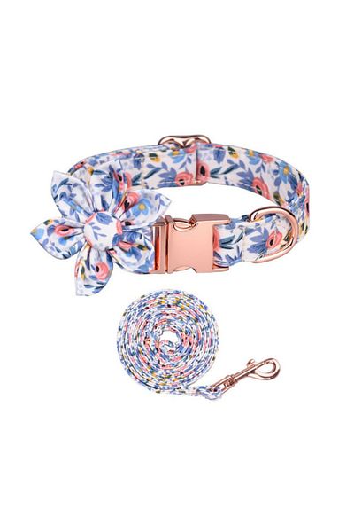 PAKEWAY 2 Pieces Floral Design Dog Collar and Strap - Walking Set