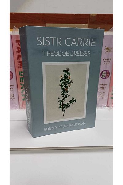 BSEYSTORE 1301 SISTR CARIE Decorative Book Box