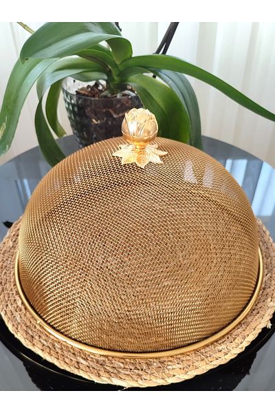 EBRULİEMAYE 30 cm Luxury Gold Rose Peaked Steel Mesh Wire Jar Presentation Cover