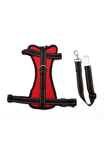 Petza Dog Car Seat Belt and Leash Arnav Red