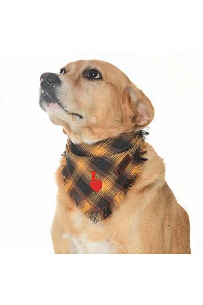 Petza باندانا الكلب / شيلوب