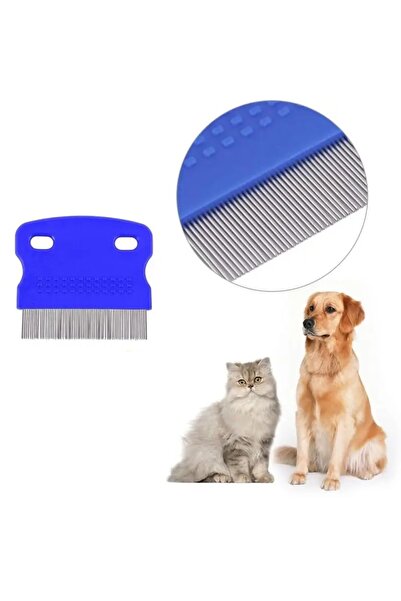 Kastore 2 Li Set Kedi Köpek Tavşan İçin Parmağa Takılan Diş Fırçası - İnce Dişli Bit Pire Tarağı