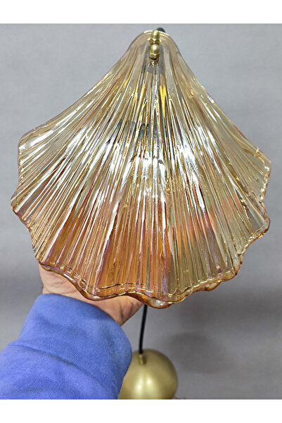 NOONLUX DESIGN&LIGHTING Shell Sarkıt Çift Bal Rengi Cam Ev Oturma Odası Yemek İstiridye Cafe Bar Restaurant E-14 Ampül