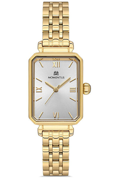 Momentus Cs223G-02Sg Cs223G-02Sg