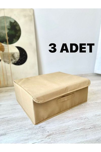 harev home collection 3 Pieces Beige Multi-Purpose under Cabinet Laundry Toy Organizer with Lid under Base Box Storage 50X40X19 cm