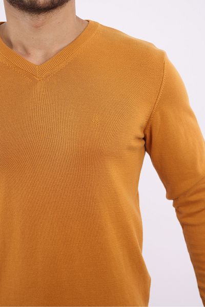 rugatchi 100% Cotton Non-Pilling Standard Fit Regular Cut V-Neck Knitwear Sweater