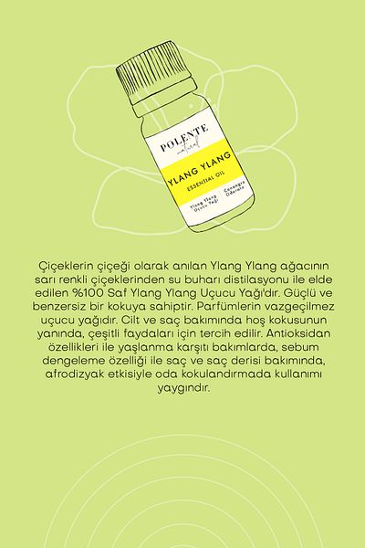 Polente Natural Ylang Ylang 5ml Essential Oil