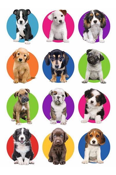 Sticksy Dogs Stickerphone Laptop Notebook Tablet Notebook Flask Sticker Sticker St900