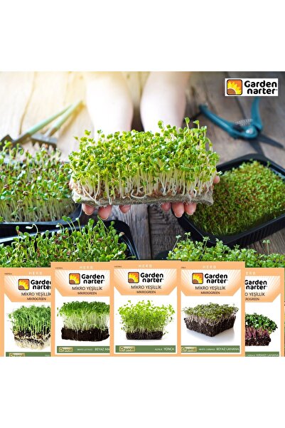 GARDEN NARTER 5 Paket Mikro Yeşillik Için Mikro Filiz Organik Marul Lahana Yonca Bezelye Kırmızı Lahana Tohumu