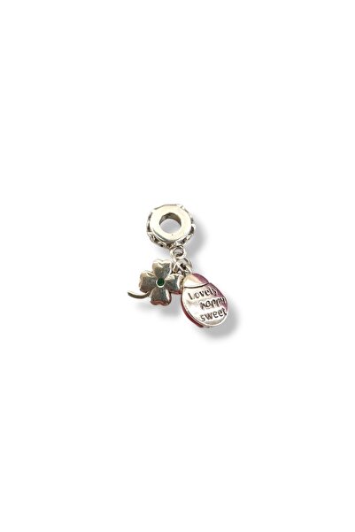 Osha Aksesuar Uğur Böceği Ve Yonca Charm Kolye Ucu 925 Ayar Gümüş