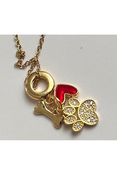juleeco Patili Dost Gold Çelik Kolye (Pati,Kalp,Kemik)