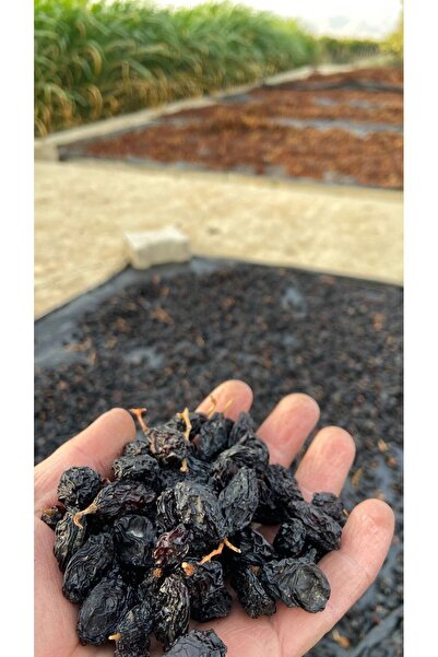 TANSU ŞAHAL Çekirdekli Siyah Üzüm (İşlem Görmemiş) 500GR